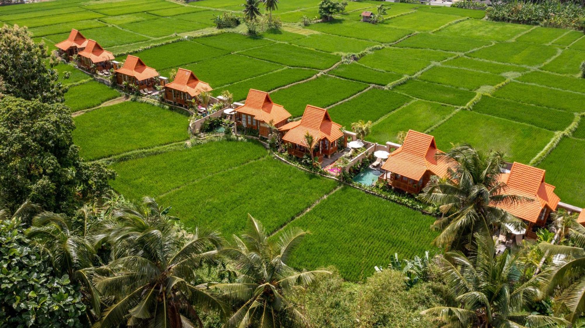 The Kalyana Ubud Resort Экстерьер фото